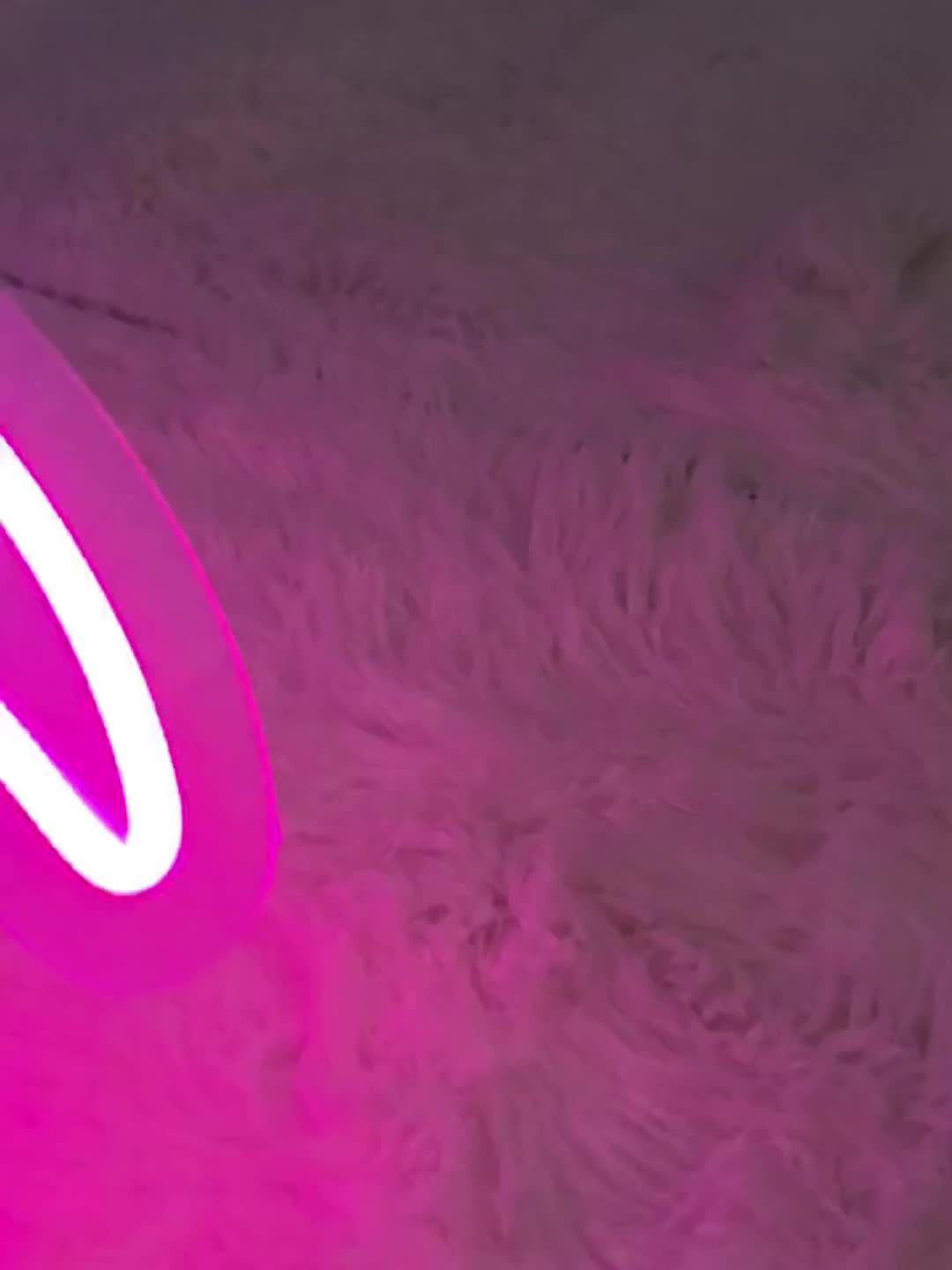 Panneau Néon LED - Design Flamant Rose