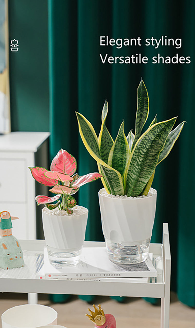 Pot de Fleurs Auto-Arrosant Transparent à Double Paroi