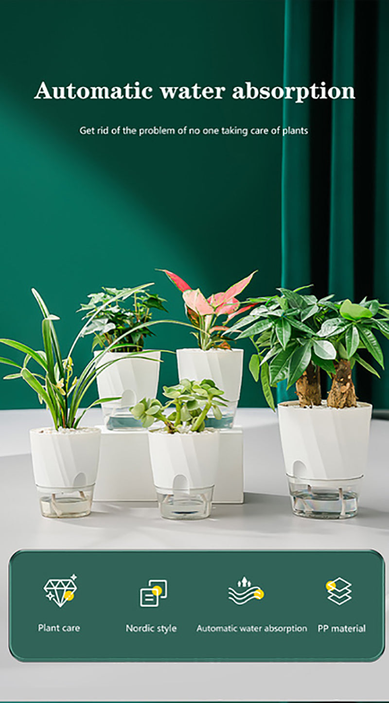 Pot de Fleurs Auto-Arrosant Transparent à Double Paroi