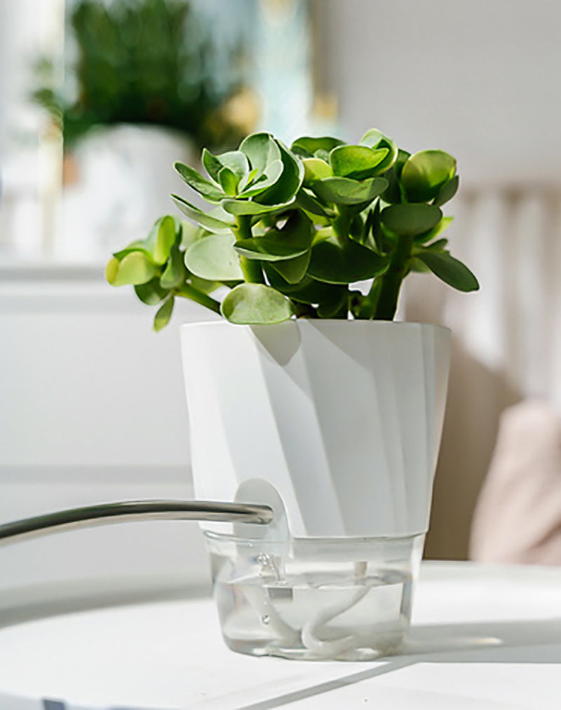 Pot de Fleurs Auto-Arrosant Transparent à Double Paroi